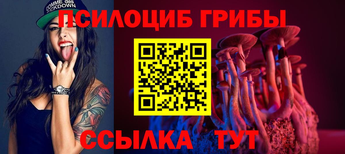 Лысьва  Галлюциногенные грибы Psilocybine cubensis  Вход с VPN 